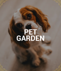 Apartamentos Vis pet friendly