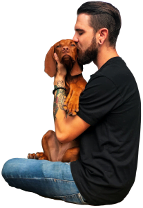 Apartamentos vis pet friendly